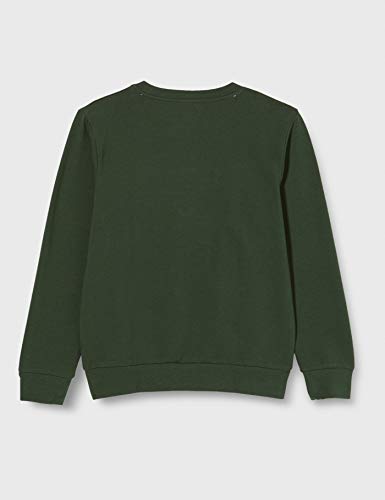 LEGO Jungen MW Sweatshirt,