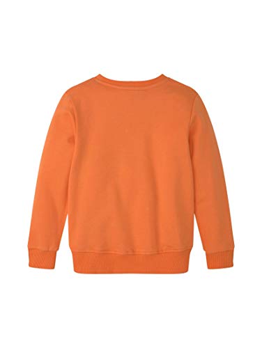 TOM TAILOR Jungen Sweatshirt