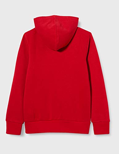 Levi's Kids Jungen Pullover