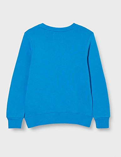 TOM TAILOR Jungen Sweatshirt