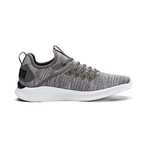 PUMA Herren IGNITE Flash evoKNIT Niedrig,