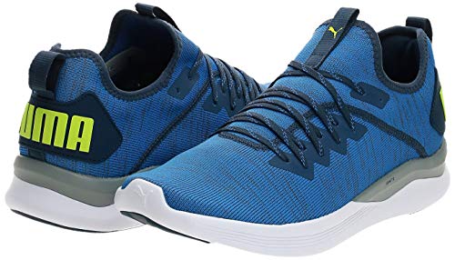 PUMA Herren IGNITE Flash evoKNIT Niedrig,