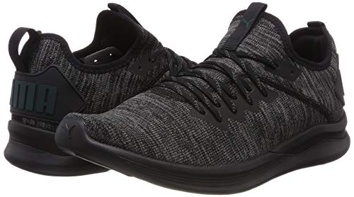 PUMA Herren IGNITE Flash evoKNIT Niedrig,