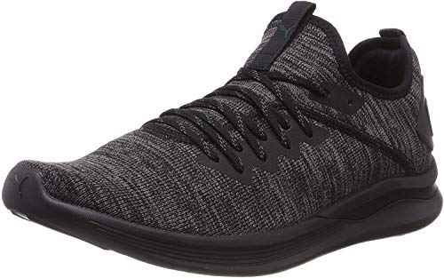 PUMA Herren IGNITE Flash evoKNIT Niedrig,