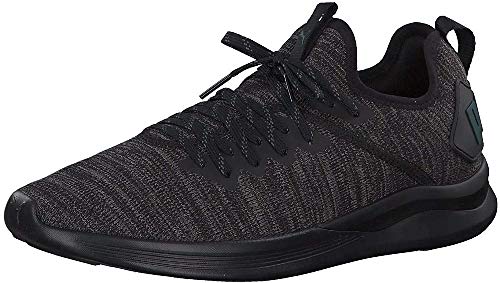 PUMA Herren IGNITE Flash evoKNIT Niedrig,