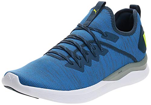 PUMA Herren IGNITE Flash evoKNIT Niedrig,