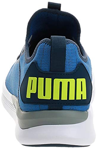 PUMA Herren IGNITE Flash evoKNIT Niedrig,