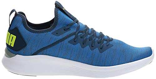 PUMA Herren IGNITE Flash evoKNIT Niedrig,