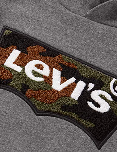 Levi's Kids Jungen Pullover