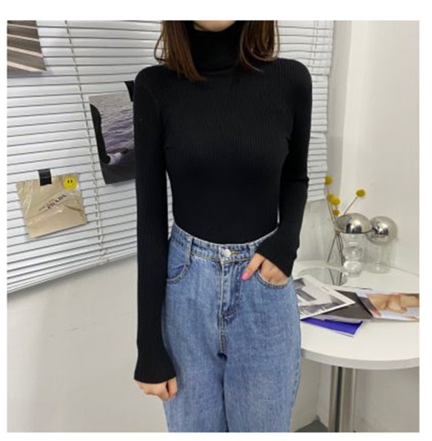 Women Turtleneck Sweaters Autumn