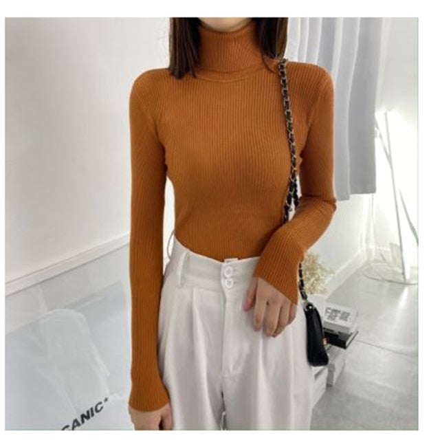 Women Turtleneck Sweaters Autumn