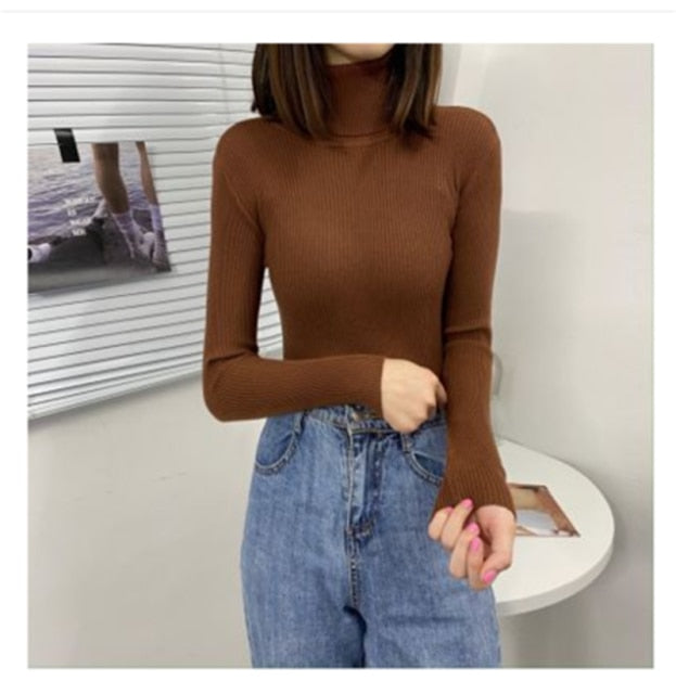 Women Turtleneck Sweaters Autumn