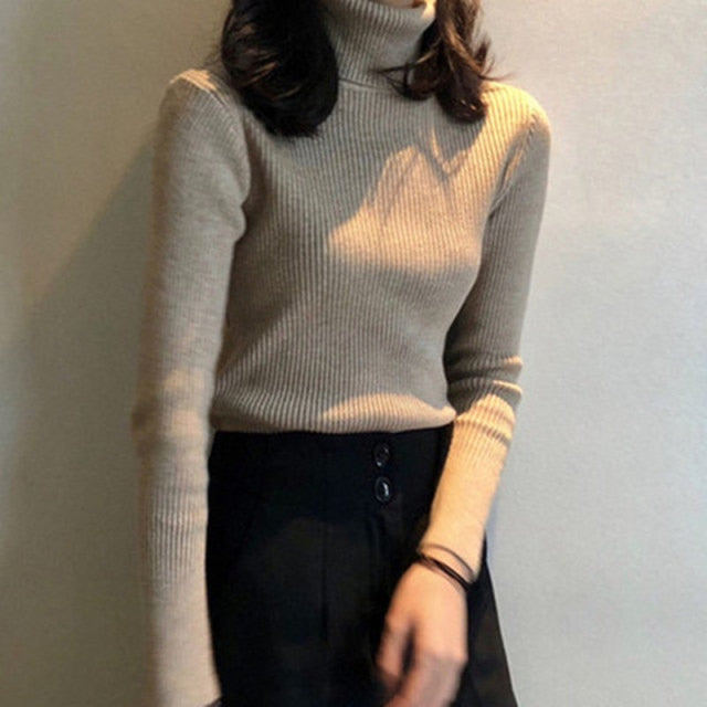 Women Turtleneck Sweaters Autumn