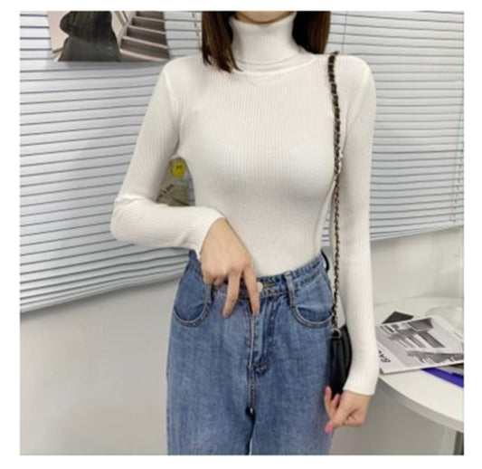 Women Turtleneck Sweaters Autumn